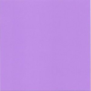 Meet your Posher, Nevaeh